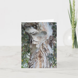 soft, peeling white bark greeting card