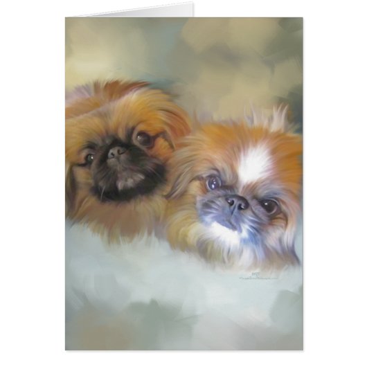 Soft Pekingese Duo Cards (Front)
