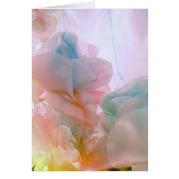 Soft Petals by DragonL8dy at Zazzle
