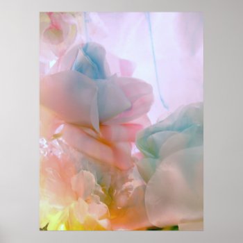 Soft Petals Poster by DragonL8dy at Zazzle