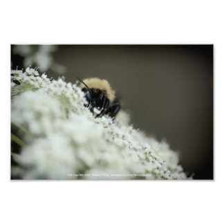 Soft Photo Print