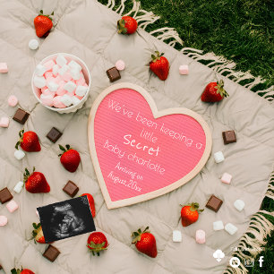 Soft Picnic Pregnancy Announcement Outdoor reveal