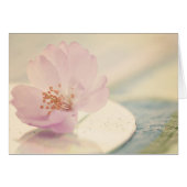 Soft Pink Cherry Blossom Flower (Front Horizontal)