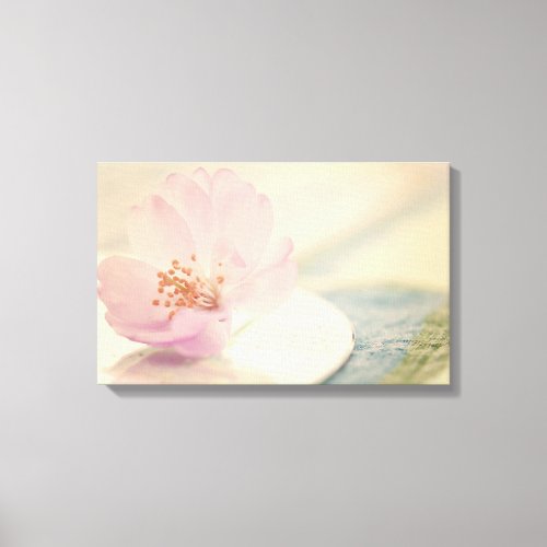 Soft Pink Cherry Blossom Flower Canvas Print