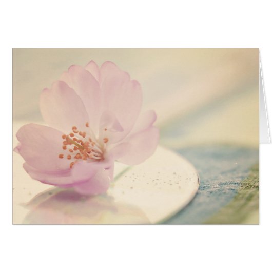 Soft Pink Cherry Blossom Flower Cards (Front Horizontal)