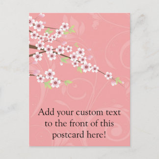 Soft Pink Cherry Blossom Postcard