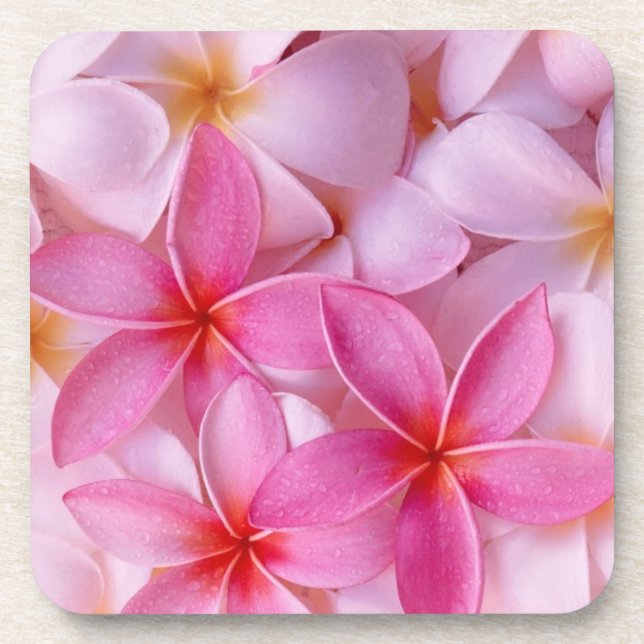 Soft Pink Floral Beverage Coaster (Front)
