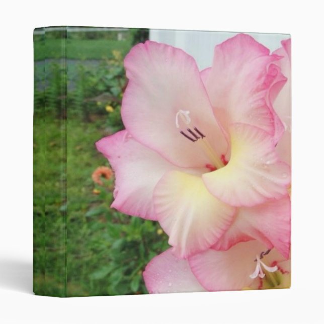 Soft Pink Gladiolas 3 Ring Binder (Front/Spine)