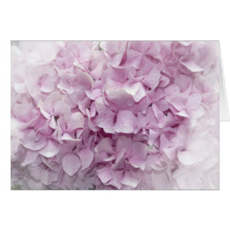 Soft Pink Hydrangea Blossom Cards