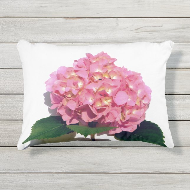 Soft Pink Hydrangea pink floral pink flower Outdoor Pillow (Front)