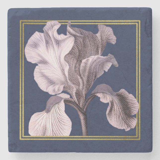 Soft Pink Iris on Blue Coaster (Front)