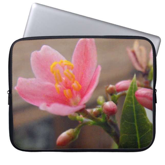 Soft Pink Jatropha Flower Laptop Sleeve (Front)