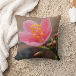 Soft Pink Jatropha Flower Throw Pillow