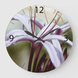 Soft Pink Lily Flower Botanical Photo Art Large Clock