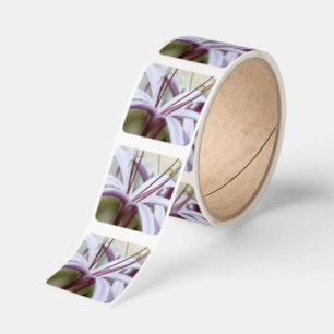 Soft Pink Lily Flower Botanical Photo Art Square Sticker