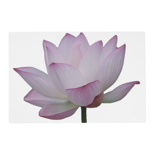 Soft Pink Lotus Flower Wedding  Placemat (Front)