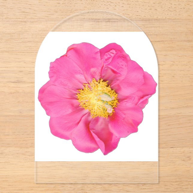 Soft Pink Peony Flower Botanical Acrylic  Invitations (Front)