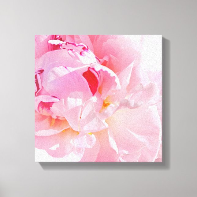 soft pink petals canvas print (Front)