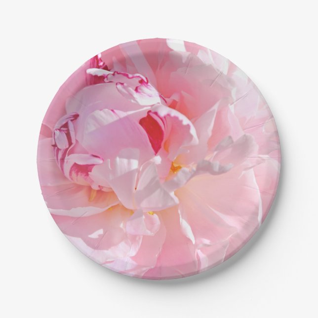 soft pink petals paper plates (Front)