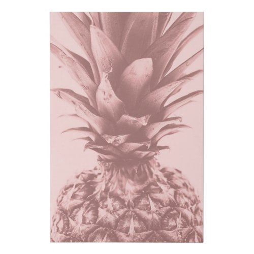 Soft Pink Pineapple Photography Faux Canvas Print