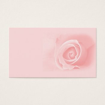 Soft Pink Rose by deemac1 at Zazzle
