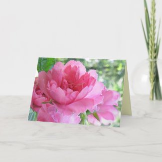 Soft Pink Rose Easter Holiday Card
