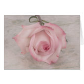Soft Pink Rose Flower (Front Horizontal)
