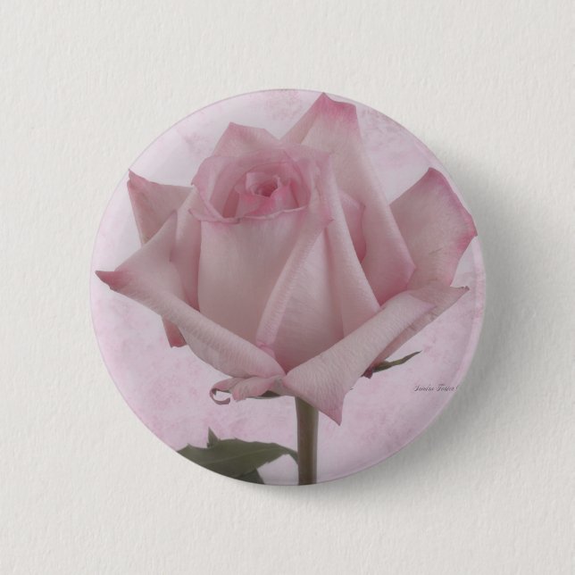 Soft Pink Rose Flower Button (Front)