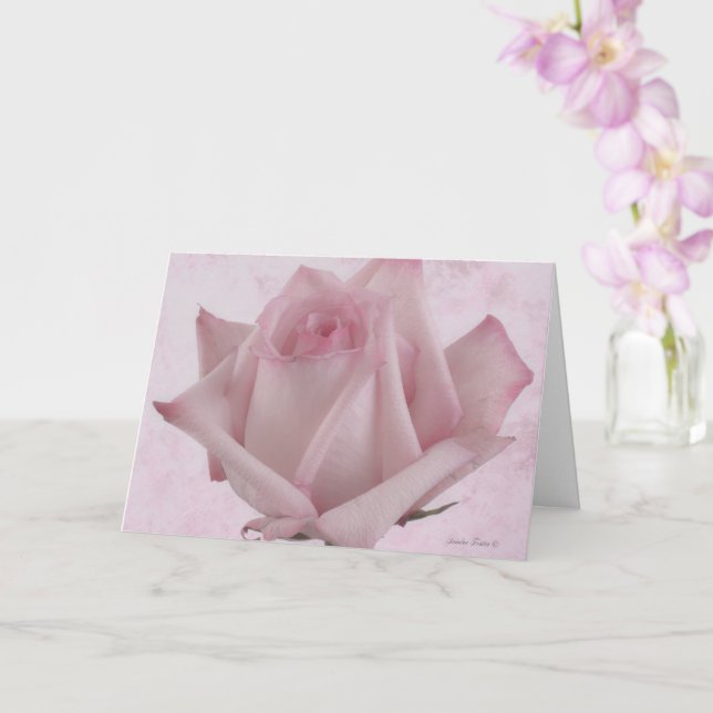 Soft Pink Rose Flower  Card (Orchid)