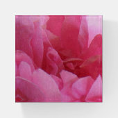 Soft Pink Rose Garden Flower Glass Paperweight (Front)