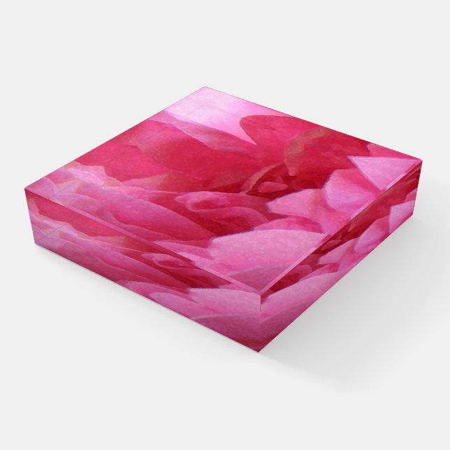 Soft Pink Rose Garden Flower Glass Paperweight (Angled)