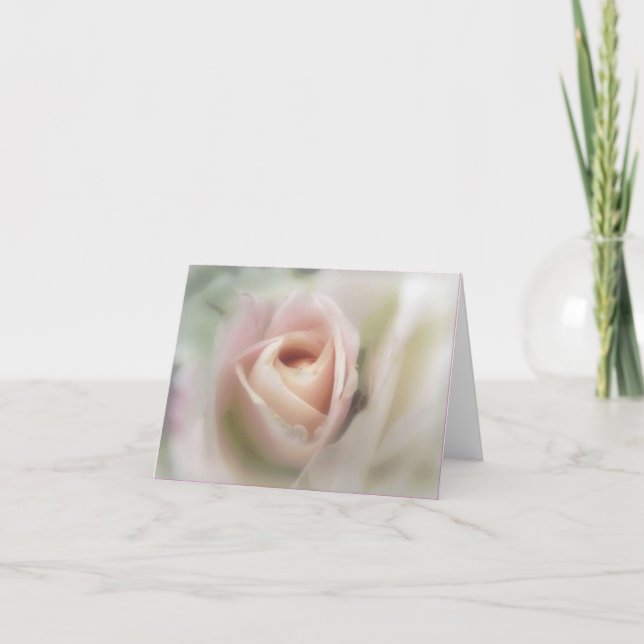 Soft Pink Rose Greeting Card (Front)
