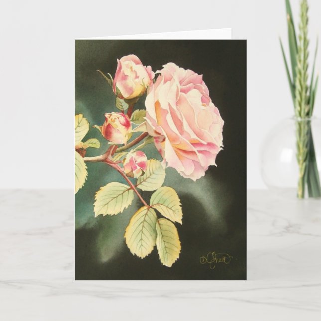 Soft Pink Rose Greeting Card (Front)