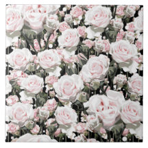 Soft Pink Roses