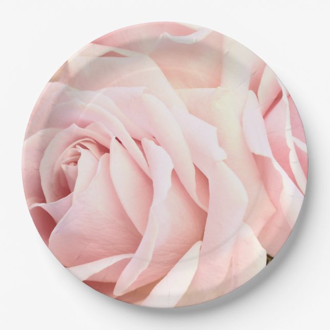 Soft pink roses paper plates (Front)