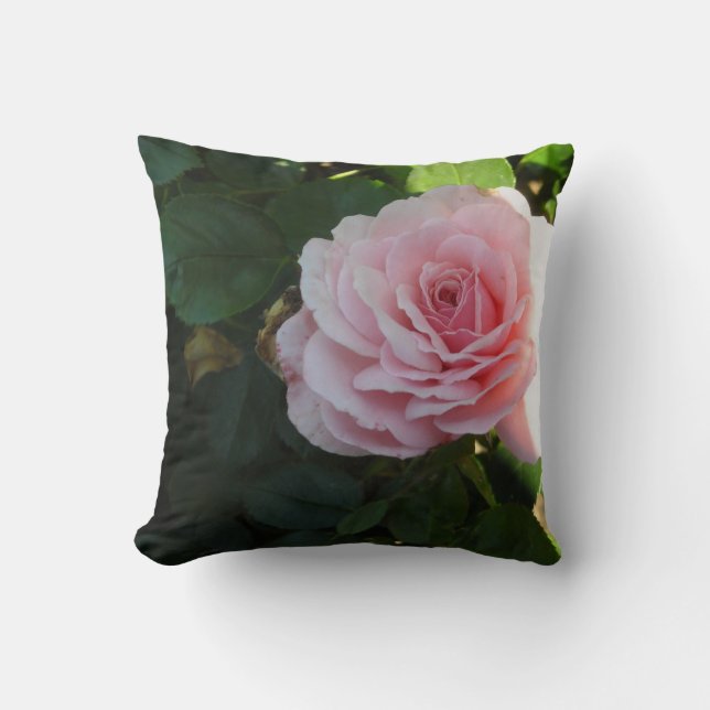 Soft Pink Roses Throw Pillow (Front)