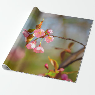 Soft Pink Tender Sakura Flowers Wrapping Paper