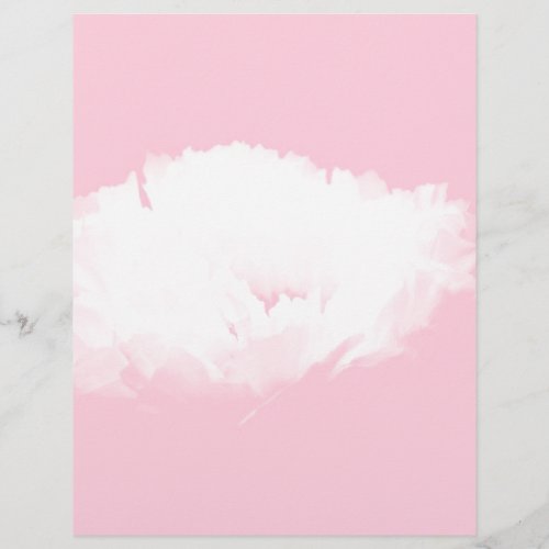 Soft Pink White Peony _ Floral