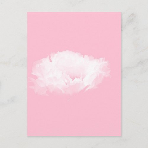 Soft Pink White Peony _ Floral _H_ Postcard