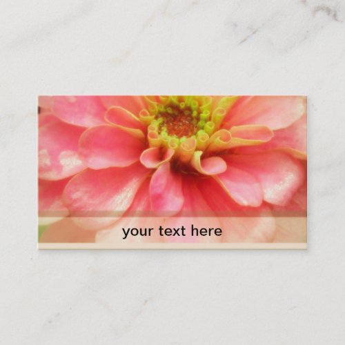 Soft Pink Zinnia Flower Business Cards
