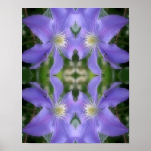 Soft Purple Clematis Flower Petals Abstract  Poster