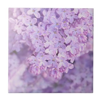 Soft Purple French Lilacs Ceramic Tile by Vanillaextinctions at Zazzle