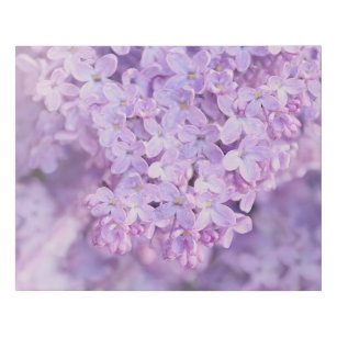 Soft Purple French Lilacs Faux Canvas Print