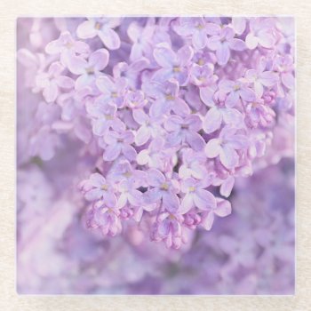 Soft Purple French Lilacs Glass Coaster by Vanillaextinctions at Zazzle