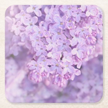 Soft Purple French Lilacs Square Paper Coaster by Vanillaextinctions at Zazzle