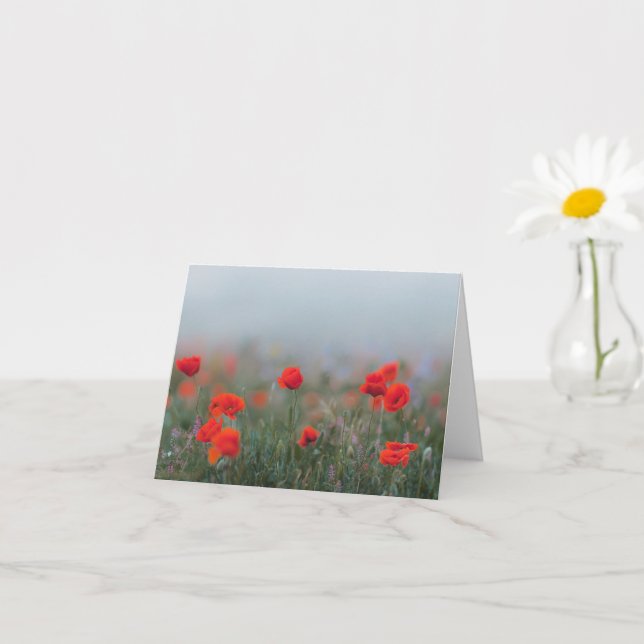 Soft red poppies in misty field, Remembrance  Card (Small Plant)