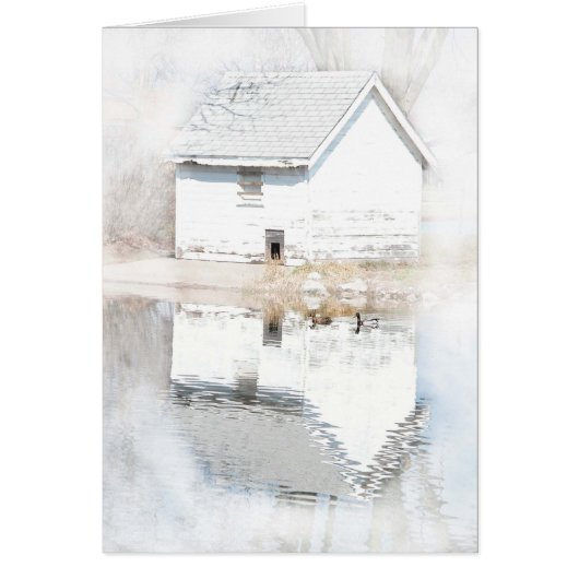 Soft reflections (Front)