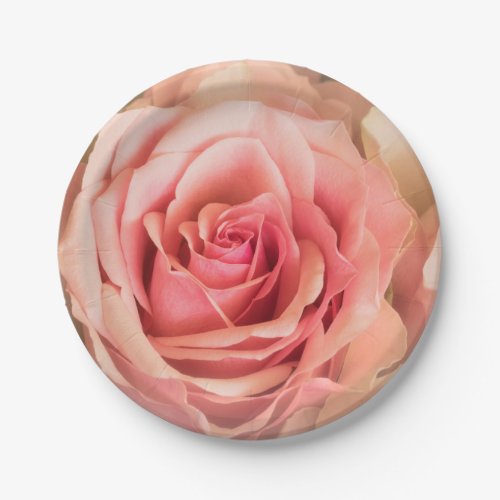 Soft Rose Blush Pink Paper Plates