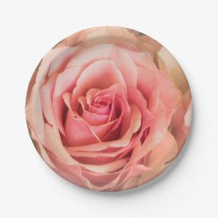 Soft Rose Blush Pink Paper Plates