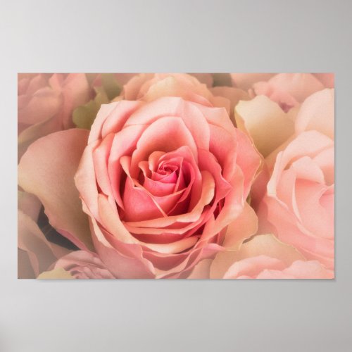 Soft Rose Blush Poster